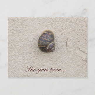 Lonely Snail on the Wall Postcard