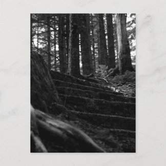 Lonely Stair Way Postcard