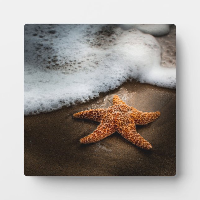 Lonely Starfish On The Beach Plaque (Front)