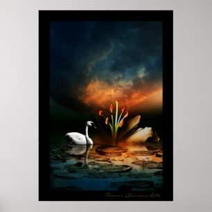 Lonely Swan Poster