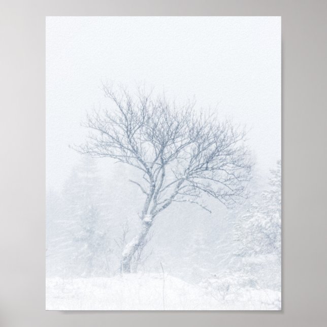 Lonely tree during snow storm in winter poster (Front)