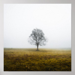Lonely tree in a foggy autumn morning poster