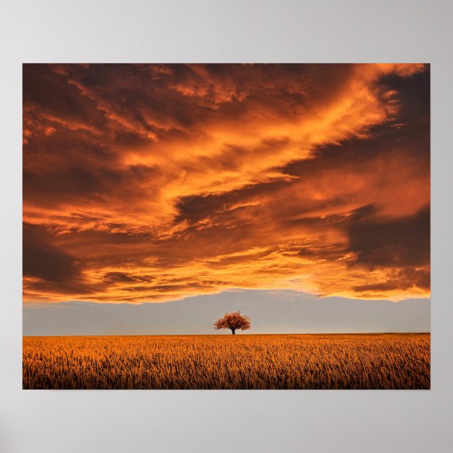lonely tree nature abstract landscape poster (Front)