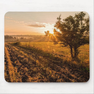Lonely tree on the foggy field in golden sunrise mouse pad