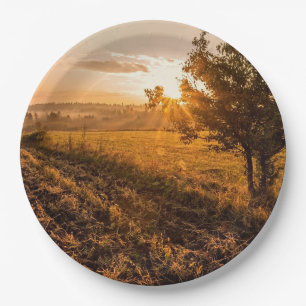 Lonely tree on the foggy field in golden sunrise paper plate