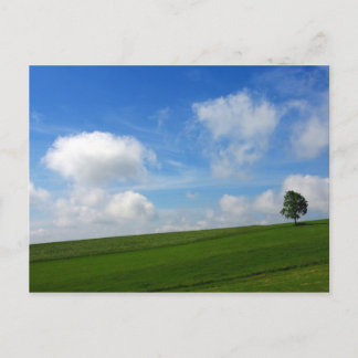 Lonely Tree - Postcard