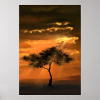 Lonely Tree Sunbeams - Add Your Picture / Text