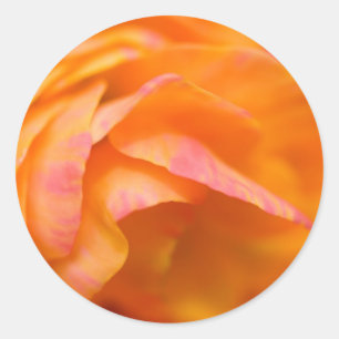 lonely truth classic round sticker