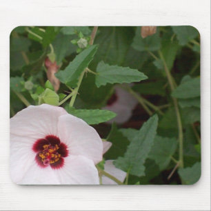 Lonely white flower mouse pad