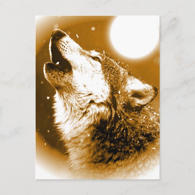 Lonely Wolf Howling at Moon Postcard (Front)