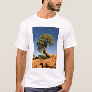 Lonesome Cedar, Deadhorse Point State Park, T-Shirt