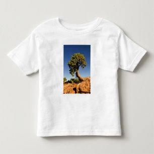 Lonesome Cedar, Deadhorse Point State Park, Toddler T-Shirt