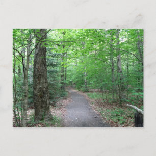Lonesome Lake Trail Postcard