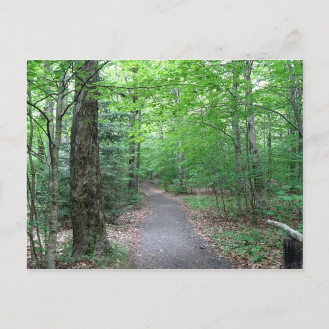 Lonesome Lake Trail Postcard (Front)