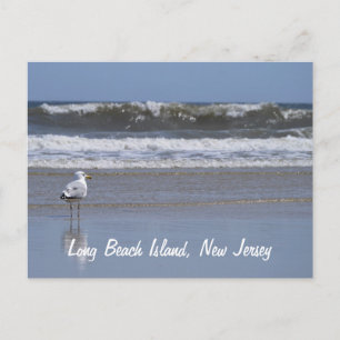 Long Beach Island, NJ Postcard
