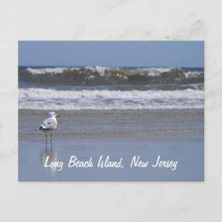 Long Beach Island, NJ Postcard