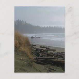Long Beach, Tofino, Vancouver Island Postcard