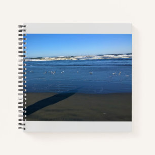 Long Beach, Washington Notebook