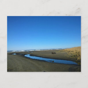 Long Beach, Washington Postcard