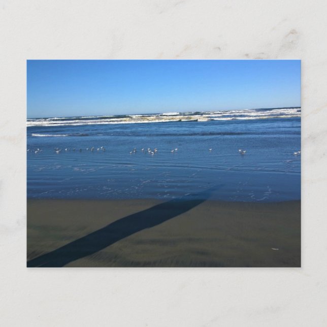 Long Beach, Washington Postcard (Front)