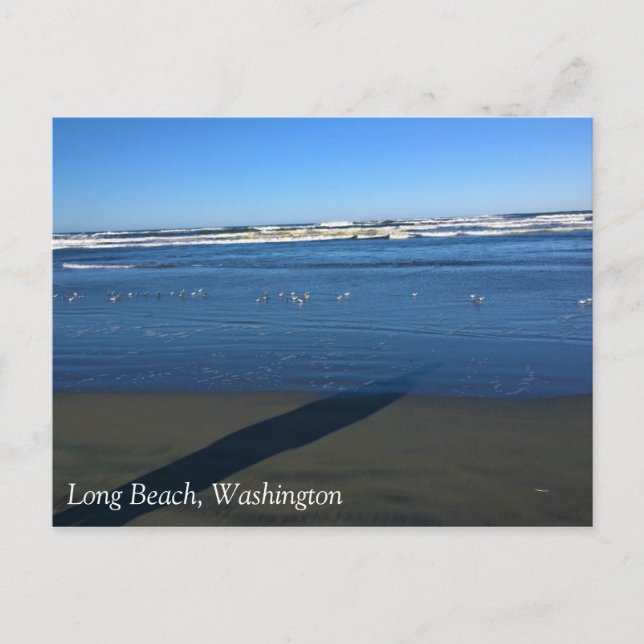 Long Beach, Washington Postcard (Front)
