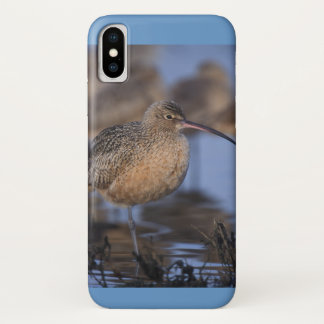 Long Billed Curlew iPhone X Case
