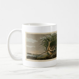 Long-billed Curlew from Audubon's Birds of America Coffee Mug