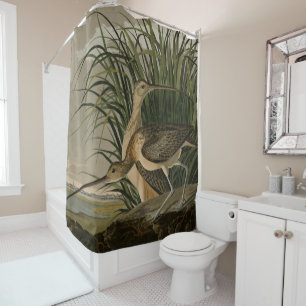Long-billed Curlew from Audubon's Birds of America Shower Curtain