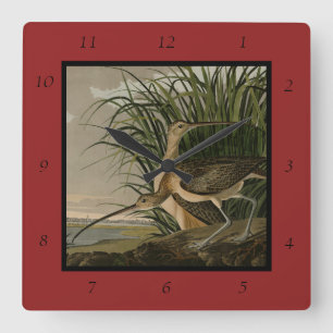 Long-billed Curlew from Audubon's Birds of America Square Wall Clock