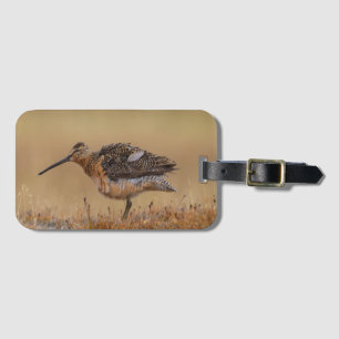 Long-billed Dowitcher Luggage Tag