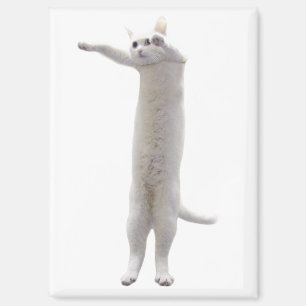 Long Cat Meme Magnet