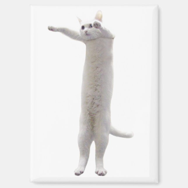 Long Cat Meme Magnet (Front)
