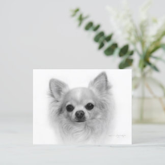 Long Coat Chihuahua - Fine Art by Hand Postcard
