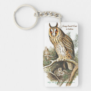 "Long Eared & Great Horned Owls" Key Ring