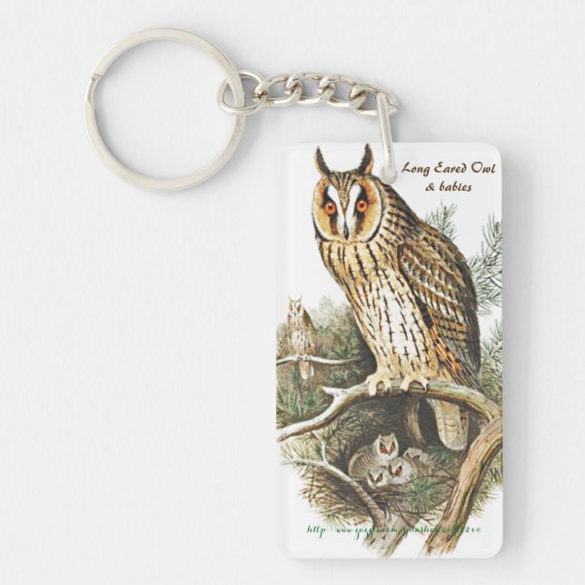 "Long Eared & Great Horned Owls" Key Ring (Front)