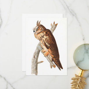 Long Eared Owl by John James Audubon Thank You Card