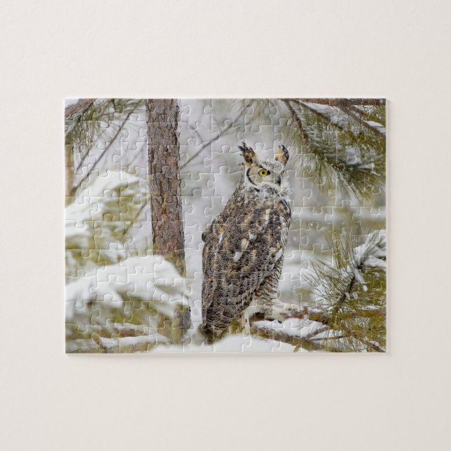 Long eared owl jigsaw puzzle (Horizontal)