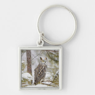 Long eared owl key ring