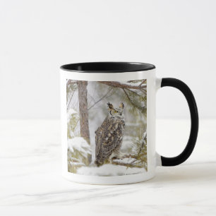 Long eared owl mug