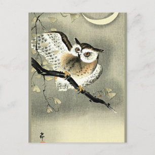 Long-Eared Owl on a Tree Branch by Ohara Koson Postcard
