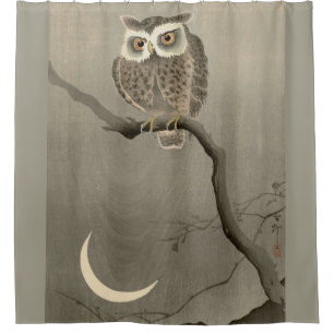 long-eared owl print  shower curtain