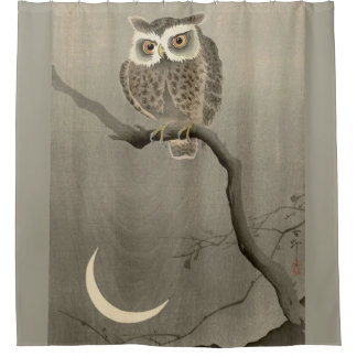 long-eared owl print  shower curtain