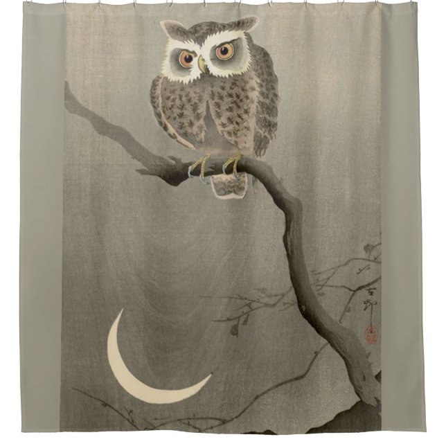 long-eared owl print  shower curtain (Front)