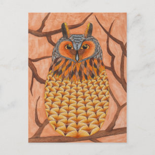 Long Eared Owl - Waldohreule Postcard