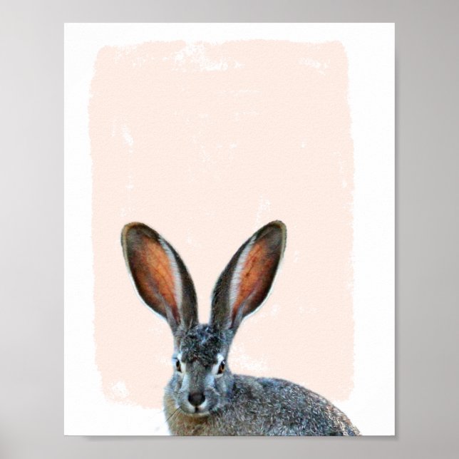 Long eared Rabbit Nursery peek a boo Poster (Front)