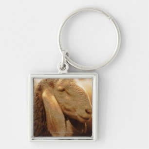 Long Eared Sheep Dolomites, Italy Key Ring