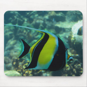 Long-Fin Banner Fish Mouse Pad