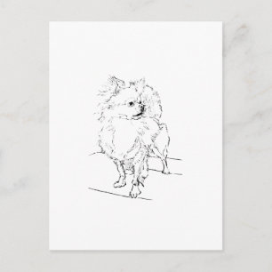 Long Hair Chihuahua - Dog Illustration Minimalist Postcard