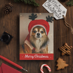 Long Hair Chihuahua Pet Funny Cute Dog Christmas Holiday Card