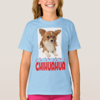 Long Hair Chihuahua Puppy Dog Girls